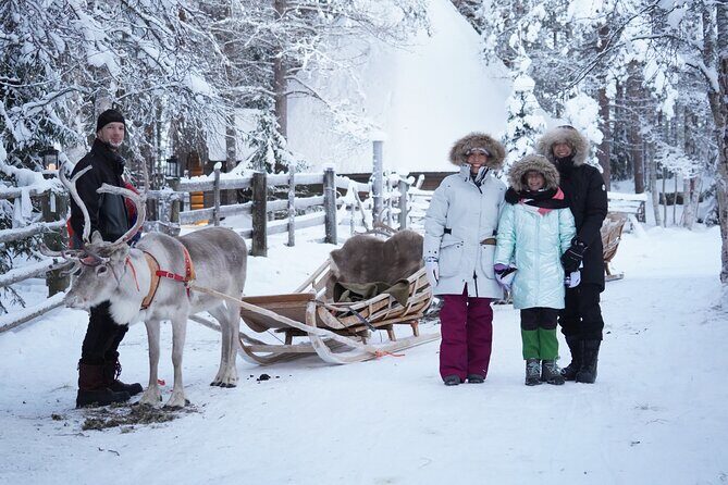 Half-Day Experience in Local reindeer farm in Lapland - Pickup, Timing, and the 8:15 Start That Keeps It Efficient