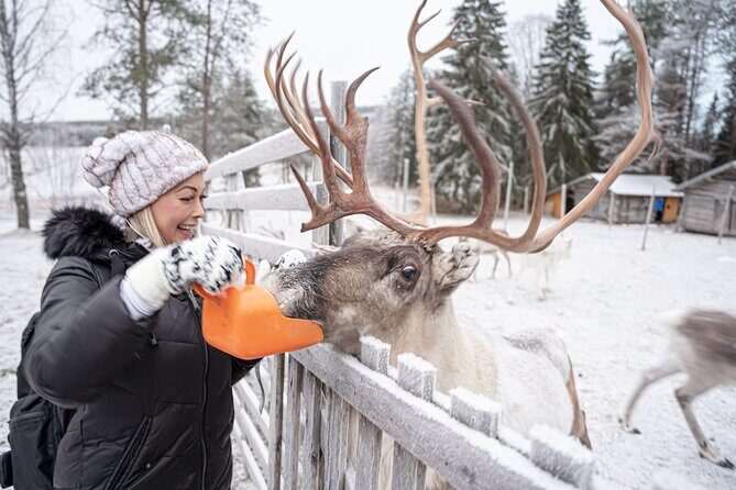 Half-Day Experience in Local reindeer farm in Lapland - Your Guide and Photographer: Why the Best Moments Happen in the Right Hands