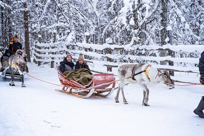 Half-Day Experience in Local reindeer farm in Lapland - Warm Clothing, Hot Drinks, and the Stuff You Should Actually Care About