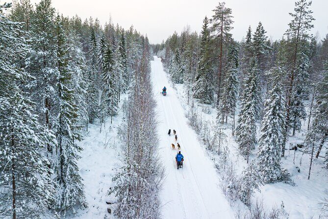 Half-Day Husky Safari and Salmon Ice Fishing Experience - The Kota Snack Stop: warmth, food, and stories from José