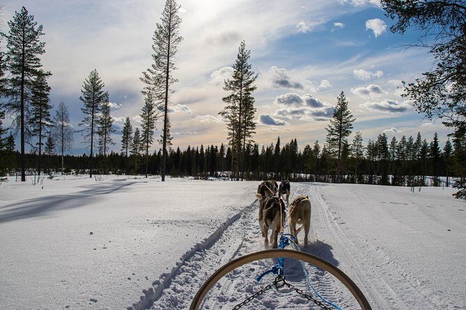 Half-Day Husky Safari and Salmon Ice Fishing Experience - Weather and day-of changes: when the plan shifts