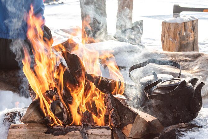 Hike to Frozen Waterfalls of Korouoma Including BBQ Lunch from Rovaniemi - Stops and moments that make it feel like more than a picture tour