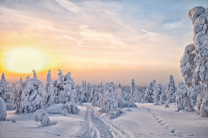 Hike to Frozen Waterfalls of Korouoma Including BBQ Lunch from Rovaniemi - BBQ lunch by the fire and blueberry tea breaks
