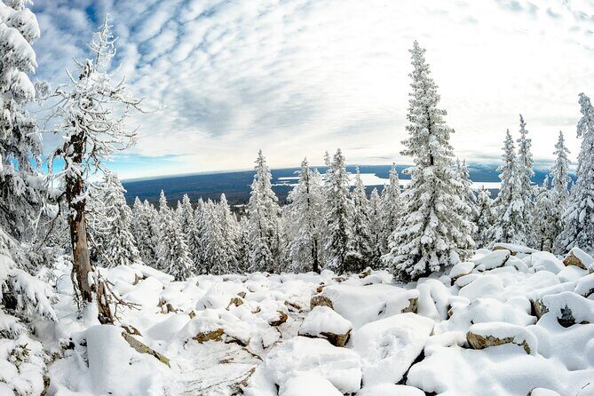Hike to Frozen Waterfalls of Korouoma Including BBQ Lunch from Rovaniemi - Guides and safety: how the best days happen