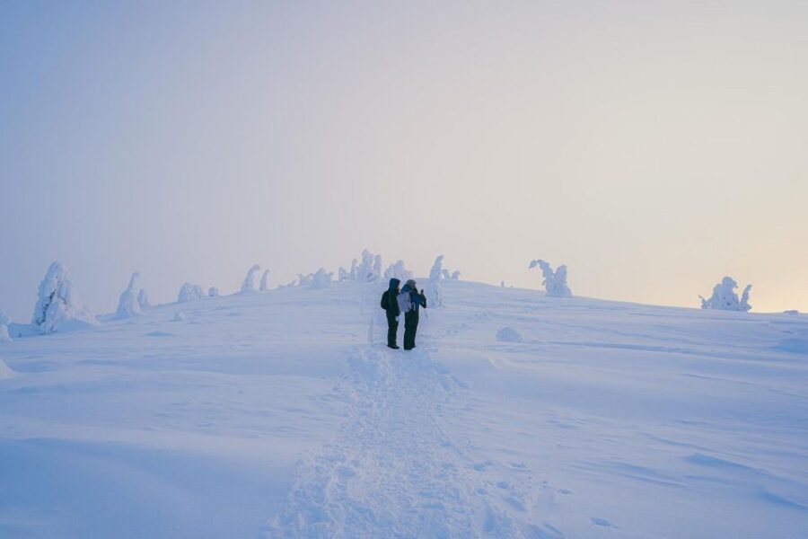 Hiking in Riisitunturi National Park with Photographer - Key highlights to look for
