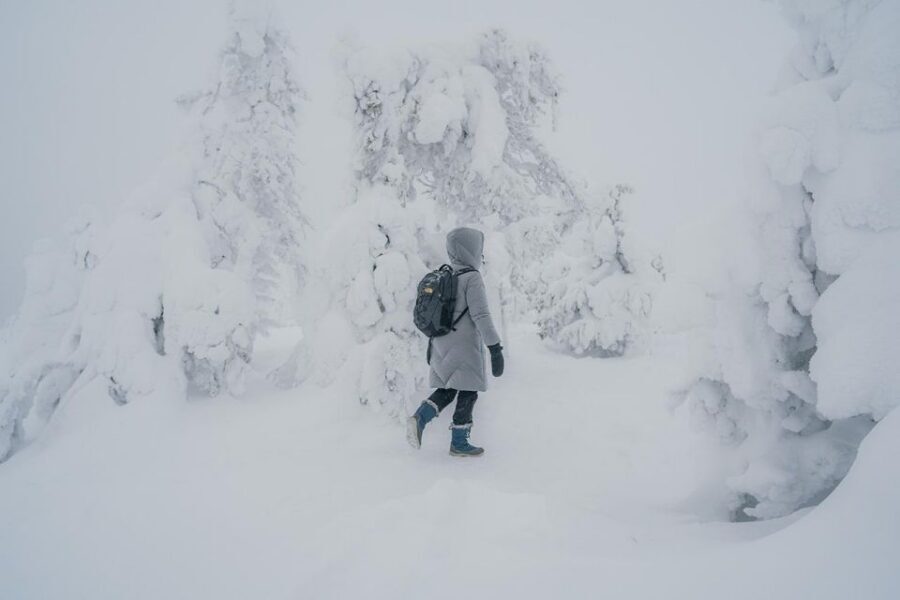 Hiking in Riisitunturi National Park with Photographer - From Rovaniemi pickup to the long van ride