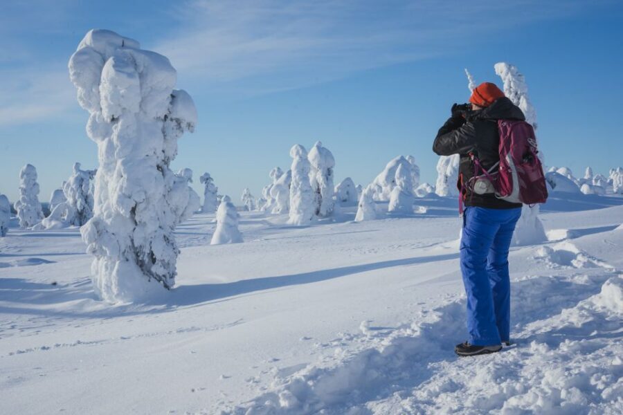 Hiking in Riisitunturi National Park with Photographer - Lunch by the campfire: more than a break