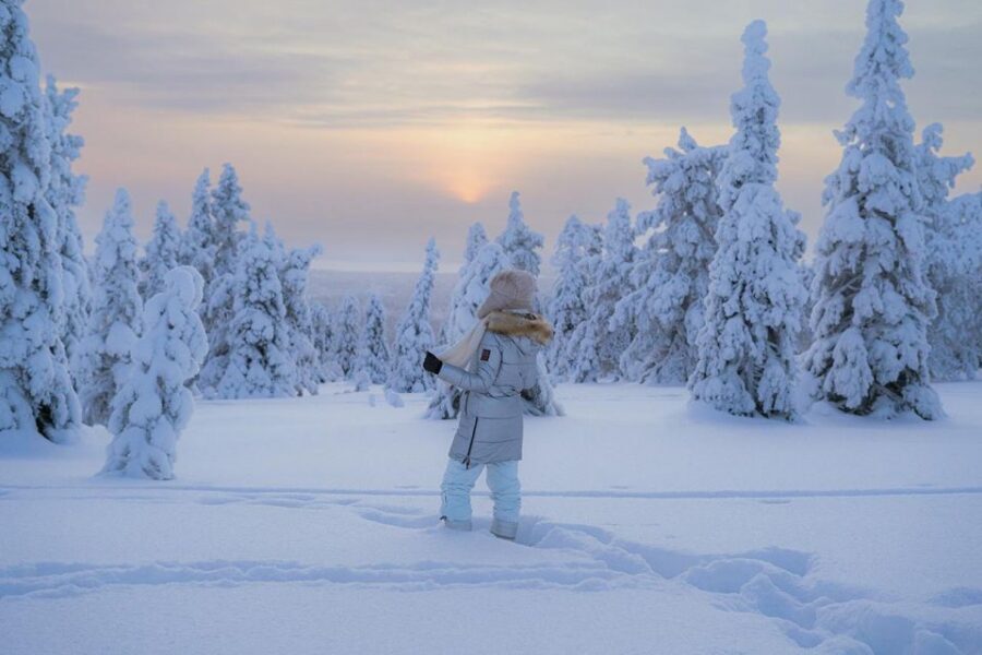 Hiking in Riisitunturi National Park with Photographer - Why the small group size matters in a snowy national park