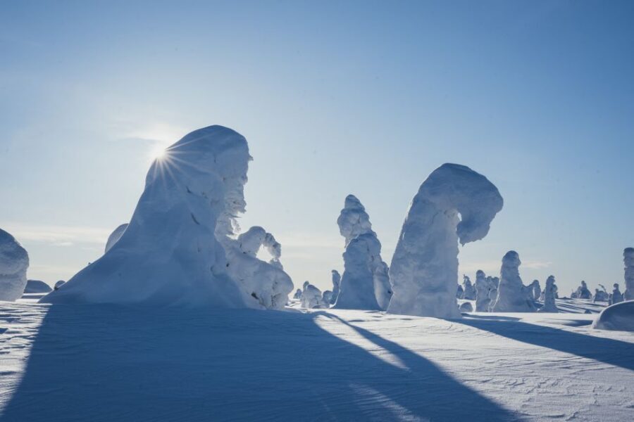 Hiking in Riisitunturi National Park with Photographer - Who should book this Riisitunturi photo hike