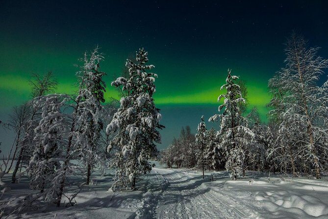 Hunting Northern Lights with Husky - Aurora hunting by car: you’re searching, but it’s still a gamble