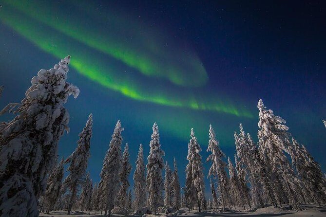 Hunting Northern Lights with Husky - Blueberry juice and a fire-side snack: simple, warm, and not always filling