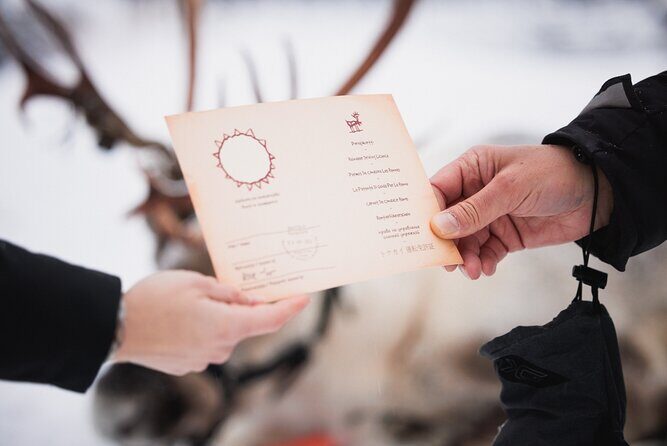 Husky and Reindeer Experience - Husky Dog Farm: Meet the Dogs and Take a Short Sled Ride
