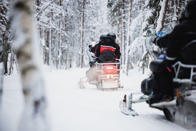 Husky and Reindeer Experience With Snowmobiling - Why This Rovaniemi Combo Works: Snowmobile, Huskies, Reindeer