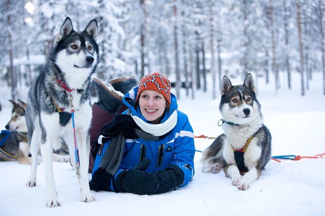 Husky Safari from Rovaniemi Including a Husky Sled Ride - Key things to know before you go