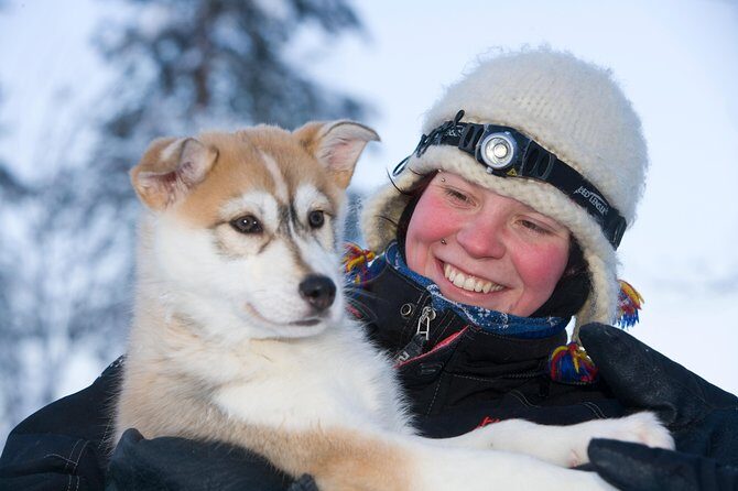 Husky Safari from Rovaniemi Including a Husky Sled Ride - How the sled ride actually works (and why the safety briefing matters)
