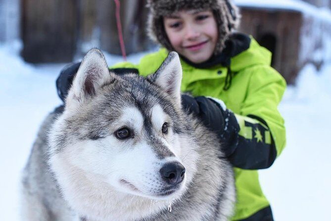 Husky Safari from Rovaniemi Including a Husky Sled Ride - Who should book this husky safari from Rovaniemi?