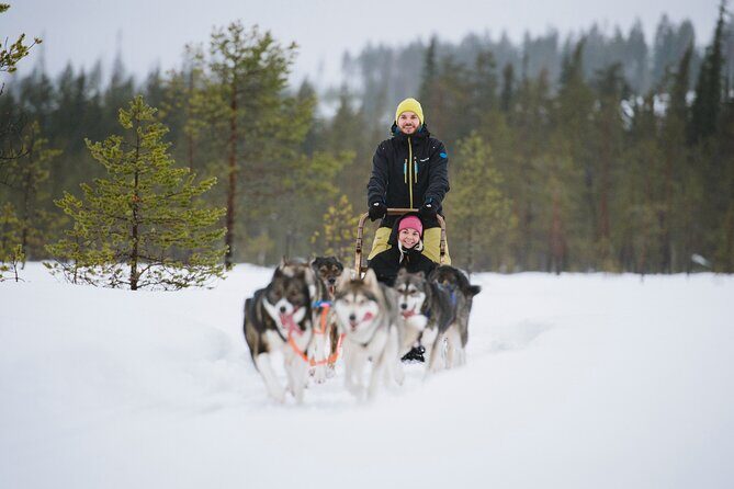 Husky Sledding Self-driving in Rovaniemi - Rovaniemi to the Forest: The 40 km Transfer You Actually Feel