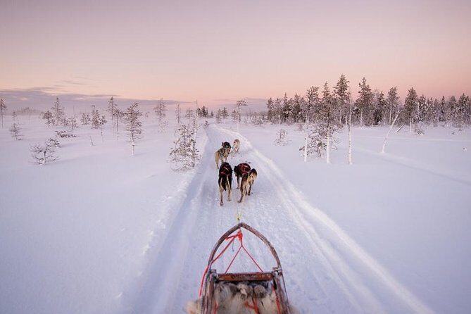 Ice Fishing and Husky - Key points before you go