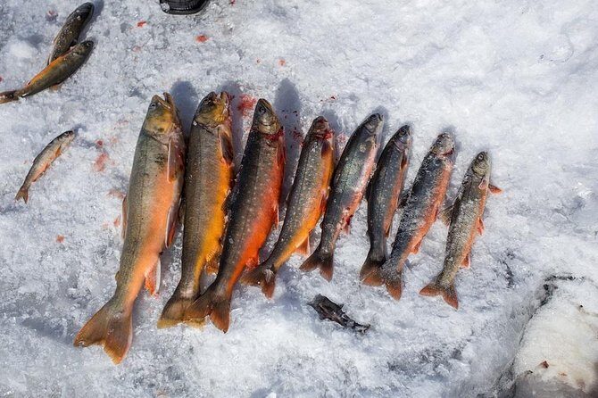 Ice Fishing and Husky - Husky Farm First, Ice Fishing Second: Why This Order Works