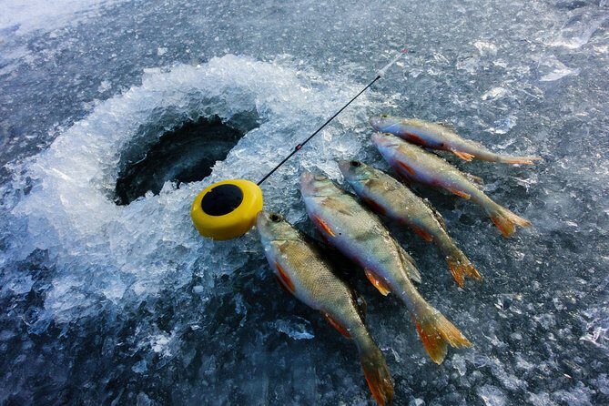 Ice Fishing and Husky - Bonfire Break: Grilled Salmon and Staying Warm