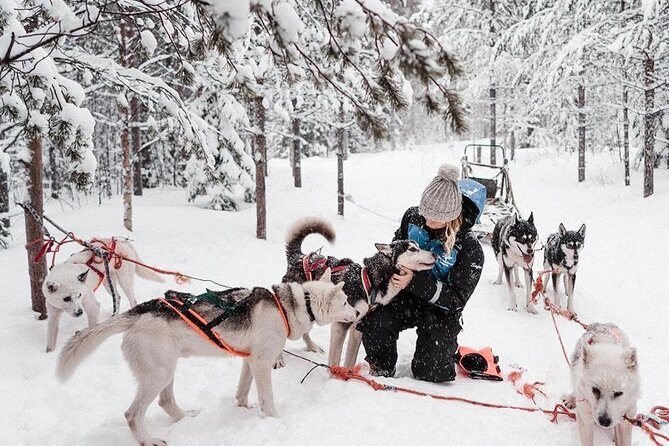 Ice Fishing and Husky - Price and What You’re Really Paying For