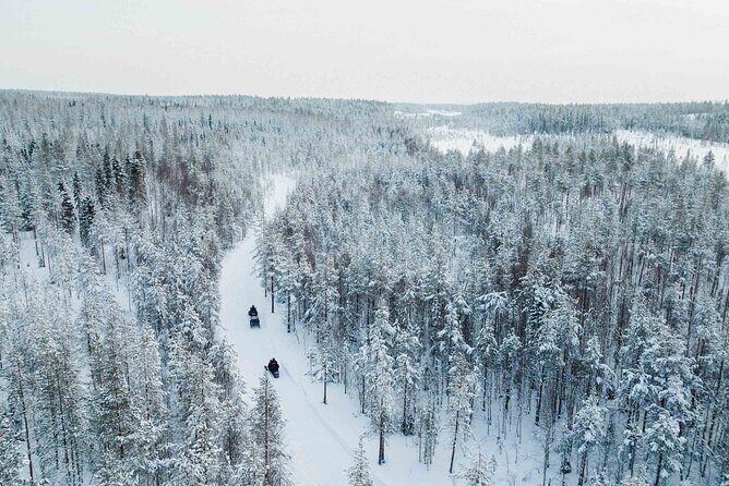 Ice Fishing and Snowmobile Safari Combo in Lapland - Campfire BBQ in the Arctic forest: the warmth break that keeps you human