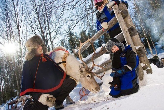 In Pursuit of Reindeer - Snowmobile safari to reindeer farm in Rovaniemi - Key things to know before you go