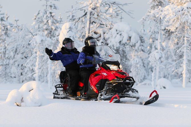 In Pursuit of Reindeer - Snowmobile safari to reindeer farm in Rovaniemi - The Reindeer Farm: Learning How Herders Care for the Animals
