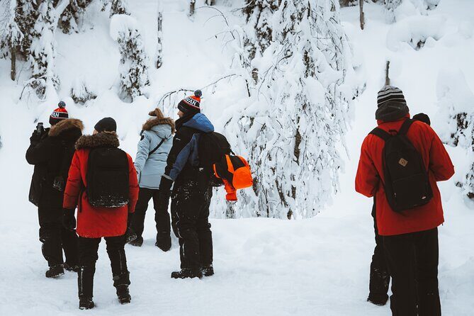 Korouoma Canyon Frozen Waterfalls - Price and value: what you’re paying for (and what you’re not)
