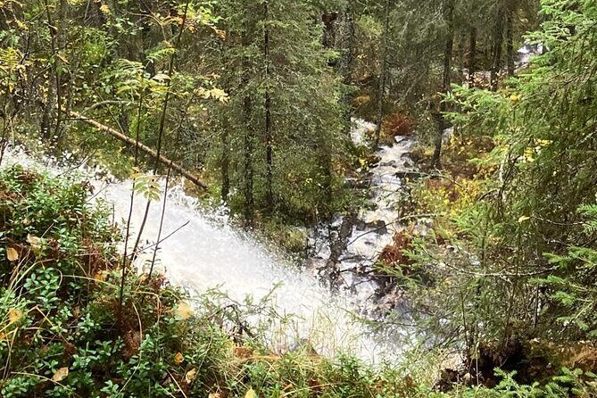 Korouoma Canyon: Frozen Waterfalls Hike & BBQ Experience - What to wear and how to handle slippery ice