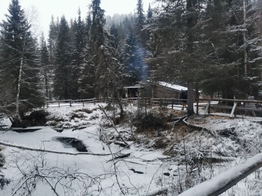 Korouoma Canyon Frozen Waterfalls Hike & Private Teepee BBQ - Rovaniemi pickup and the wintry drive to Korouoma