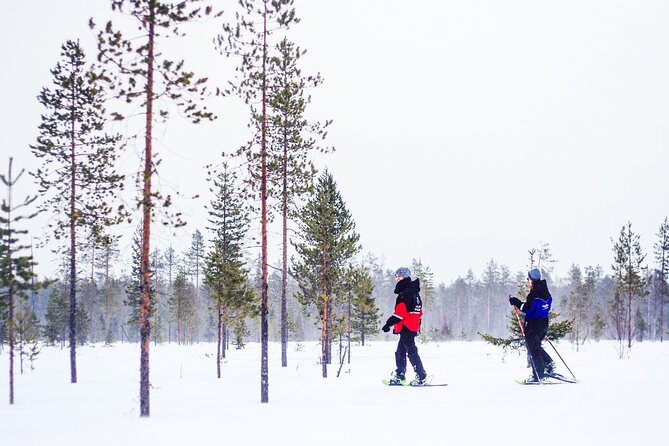 Korouoma Canyon Snowshoe Trip - Key highlights at a glance