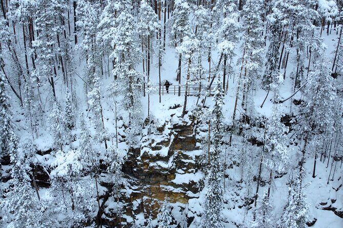 Korouoma Frozen Waterfalls Hiking Tour - Stop in Korouoma Canyon: Walking to Three Frozen Waterfalls