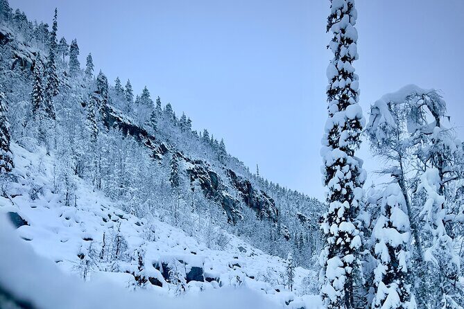 Korouoma Frozen Waterfalls Hiking Tour - Your 6-Hour Schedule: What the Day Really Feels Like