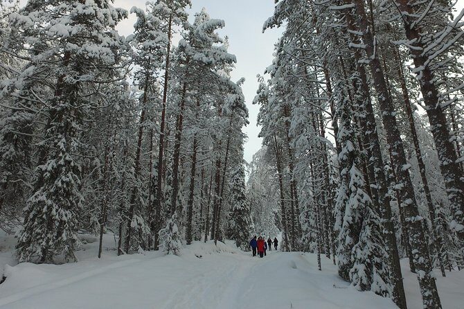 Korouoma national park and frozen waterfalls hiking tour - The 6.5-Hour Timeline: Pickup to Campfire Finish