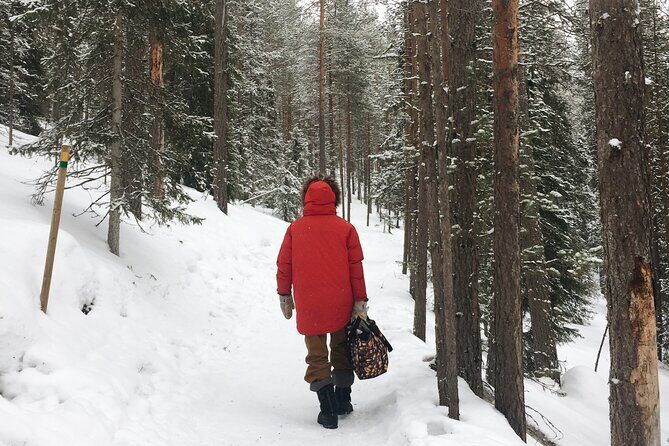Korouoma national park and frozen waterfalls hiking tour - Price and Value: Is $162.40 Worth It?