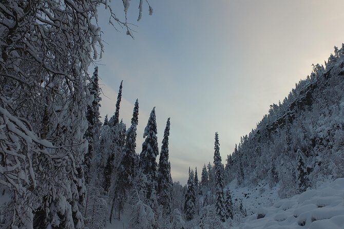 Korouoma national park and frozen waterfalls hiking tour - Best Fit: Who Should Book This Korouoma Winter Hike