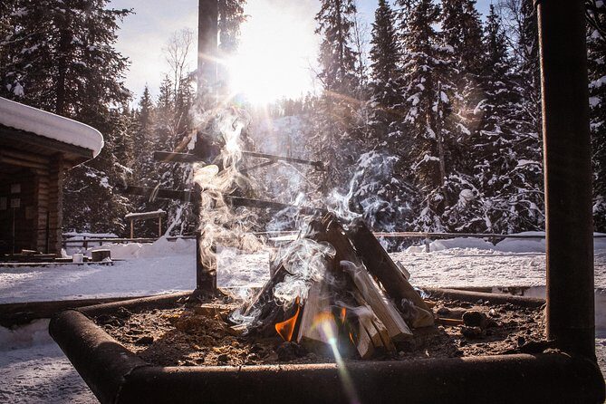 Korouoma National Park & Frozen Waterfalls - Your morning start: Rovaniemi pickup and a focused 5 hours