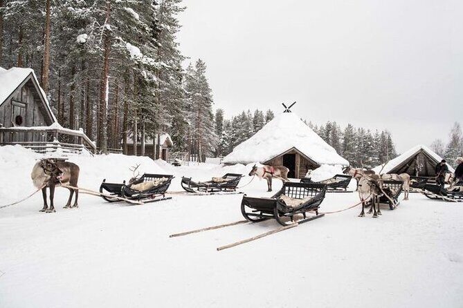 Kuoksa Reindeer Farm Visit with a Short Sleigh Ride - Quick Takeaways