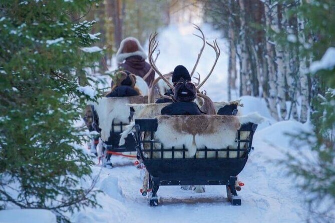 Kuoksa Reindeer Farm Visit with a Short Sleigh Ride - Kuoksa Reindeer Farm: What You’ll Learn (And Why It’s More Than Cute Animals)