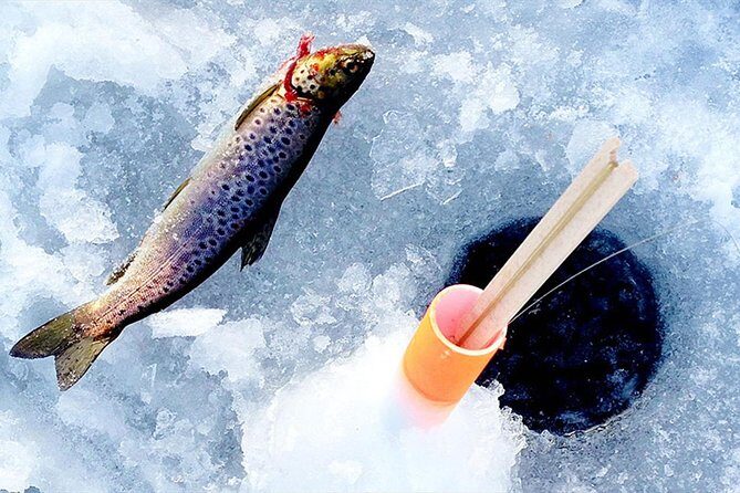 Lakeside Sauna Trip with Ice Fishing and Ice Swimming - Price and Value: Is $196 Worth It?