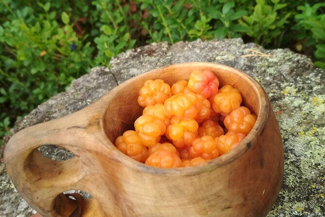 Lapland Berry Day Experience - Lapland Berry Day in Rovaniemi: What This Trip Really Is
