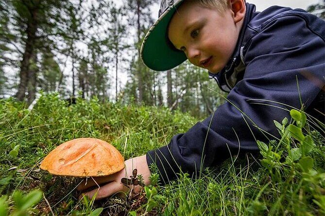 Lapland Berry Day Experience - Nordic Unique Travels: Your Start Point and Why It Matters