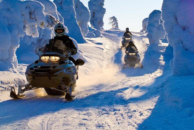 Lapland Family Snowmobile Safari from Rovaniemi - What happens on the route: snowy woods, an outdoor reset, then more play