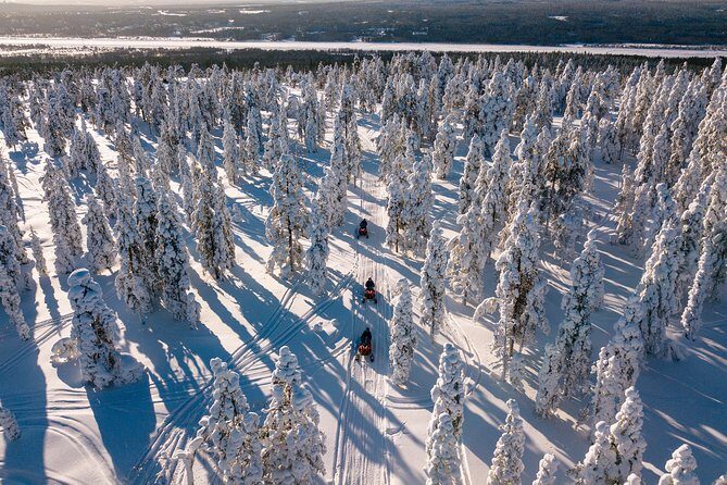 Lapland Family Snowmobile Safari from Rovaniemi - Logistics made easier: pickup, meeting point, and how early to plan