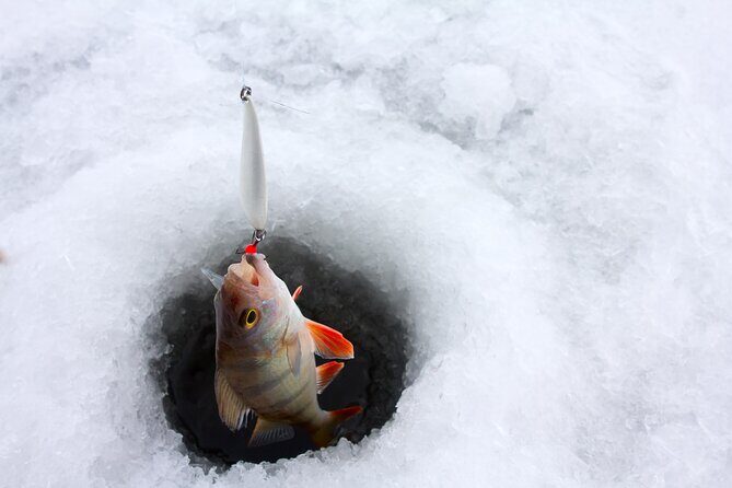 Lapland Ice Fishing Experience from Rovaniemi - What the guide actually does for you on the ice