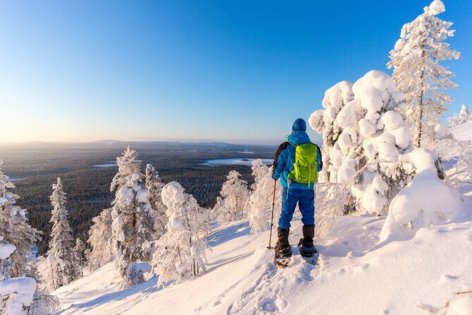 Lapland Ice Fishing Experience from Rovaniemi - Who this suits best (and who should set expectations)