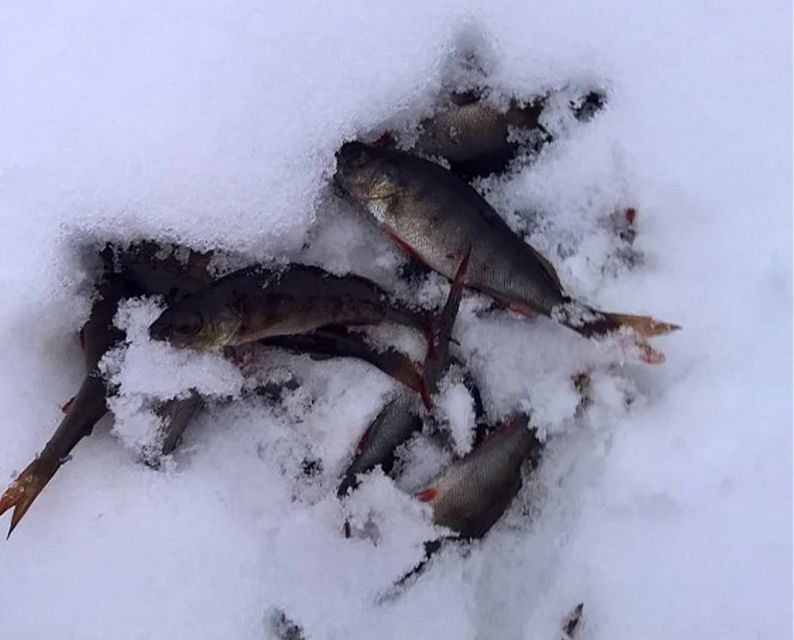 Lapland: Ice Fishing, Floating & BBQ Snow Adventure - Ice Floating in Survival Suits: The Relaxing Part (With Cold-Water Truths)