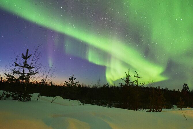 Lapland In A Day - Reindeer, Sledding, Snowmobile & Nature - Downhill sledding on gentle slopes (plus a snow slide)