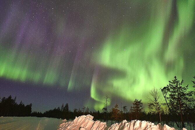 Lapland In A Day - Reindeer, Sledding, Snowmobile & Nature - Lantern-lit forest trail: the calm counterpoint